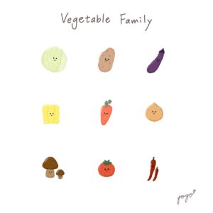 Yo Yo x Vegetable family